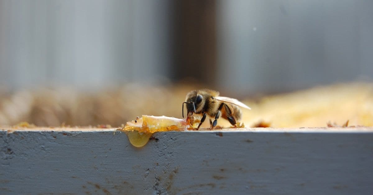 DNS и кэш: охота на запись, которая вроде есть, но не видна