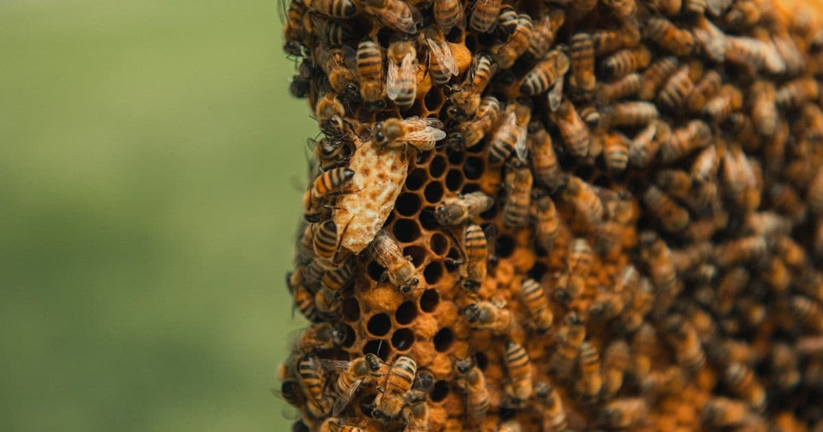 Интерфейс, который говорит на языке оператора