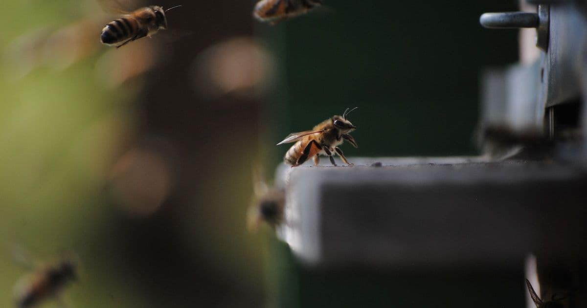 Спасли T5 от урезания: оптимизация вместо потерь