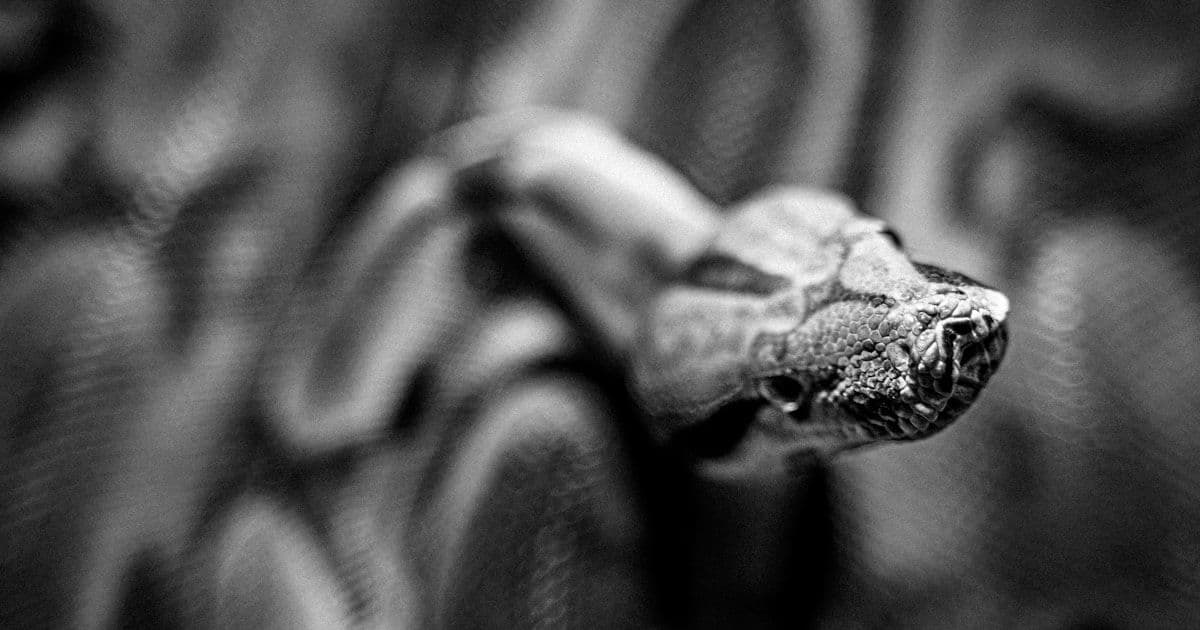 Микротюнинг алгоритма: как сэкономить гигабайты памяти