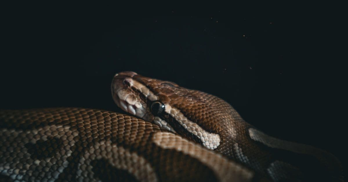 ChatManager: как научить бота помнить, где ему работать