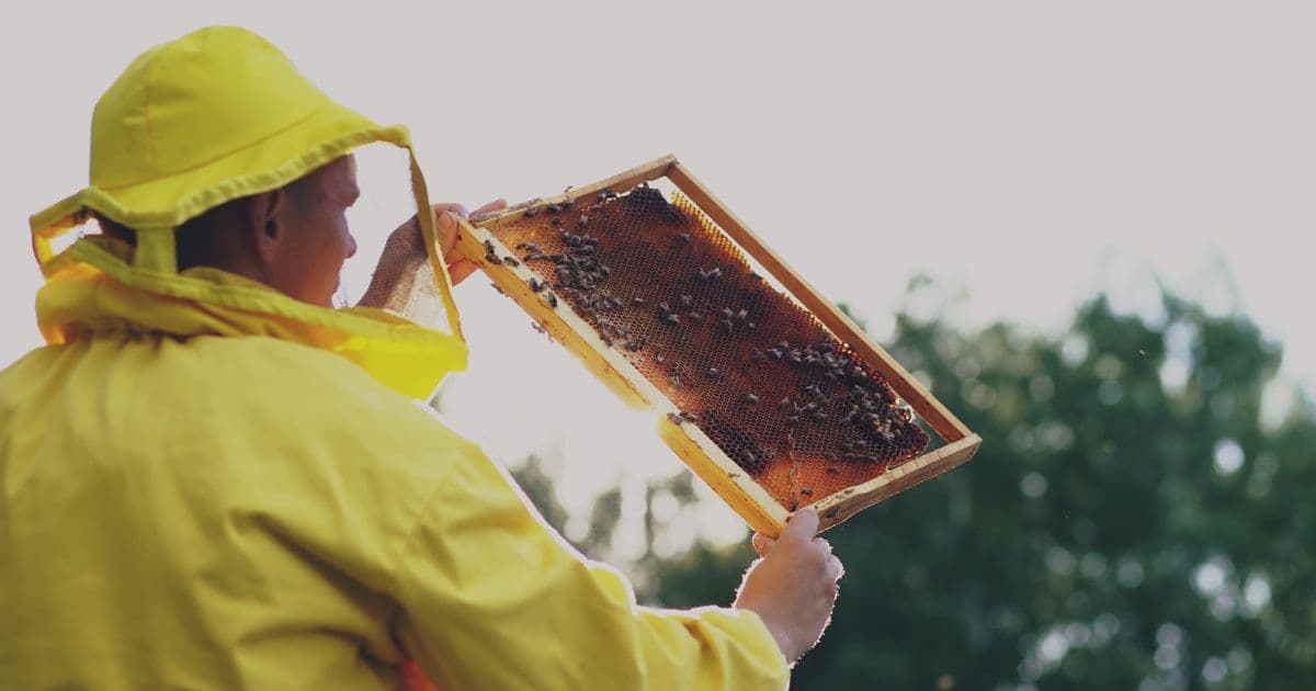 SSH спасла двухфакторку: как найти потерянный QR-код Authelia