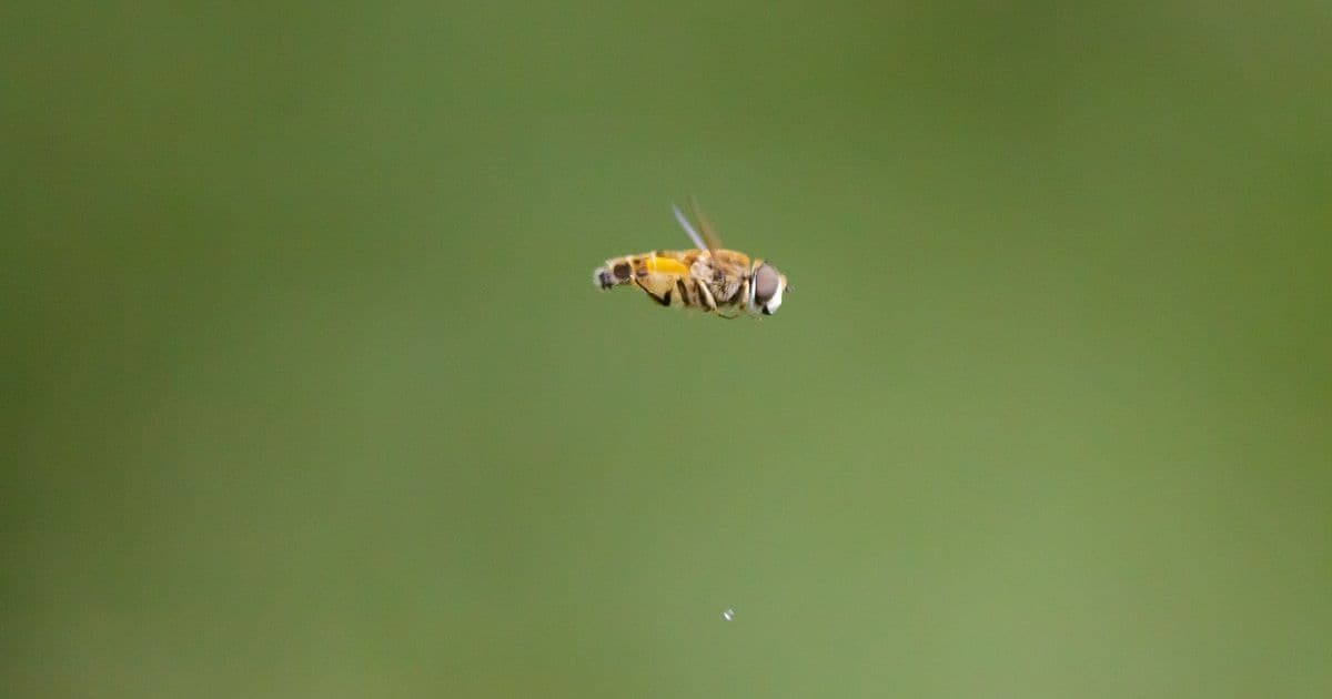 SSH спасает: ищем потерянный QR-код в файловой системе