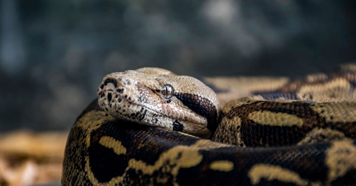 Бот, который помнит, где остановился: история оптимизации