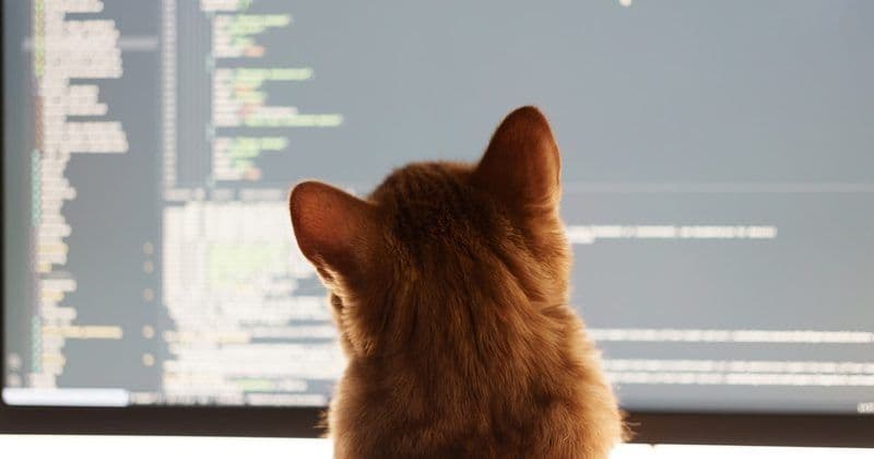From Memory Module to Self-Aware Agent