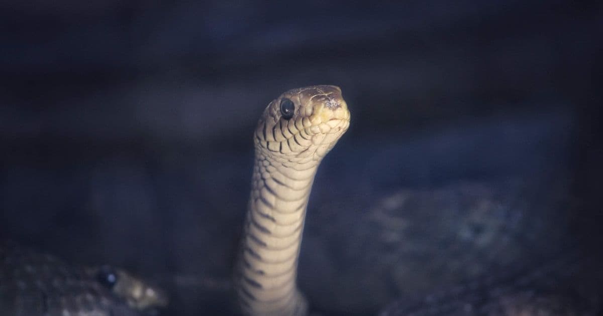 Тесты падают: как найти виновника, когда это наследство