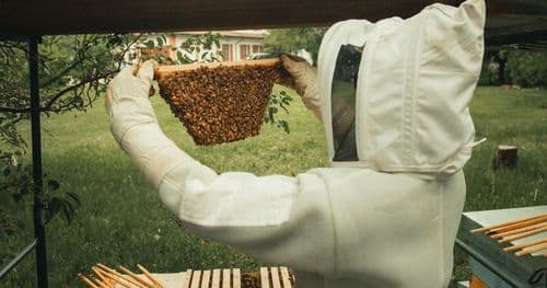 Молчаливый API: когда успех — это просто пустота