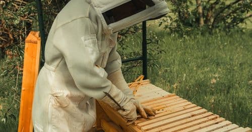 Очередь событий вместо словаря: как спасти архитектуру