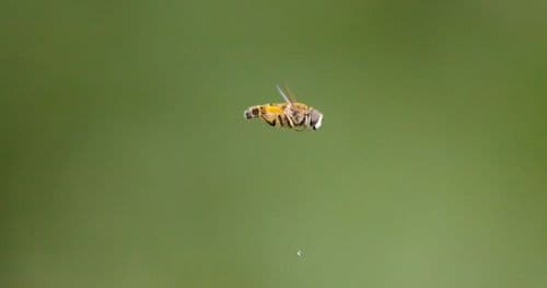 Логи в системном трее: как простая отладка спасла меню устройств