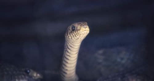 Race condition в системе версионирования: как два ревьюера поймали потерю данных