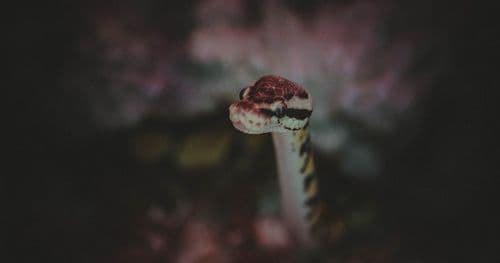 Многоуровневая защита: как я спасал блог от спама